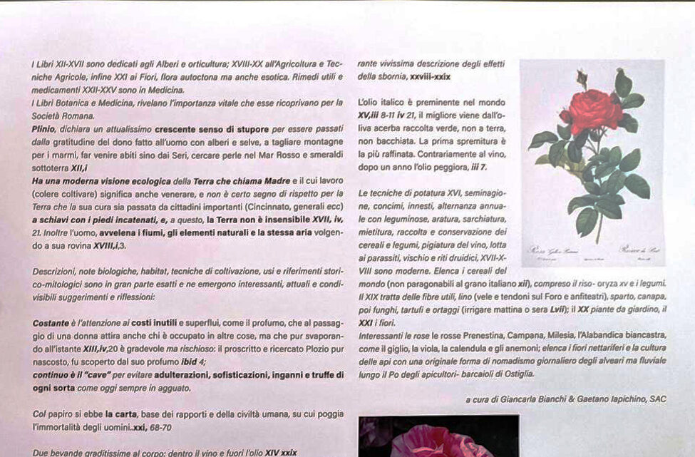 TERMINATA A COMO LA MOSTRA PLINIO E LA NATURALIS HISTORIA DOVE ERA PRESENTE ANCHE LA ROSA PRENESTINA